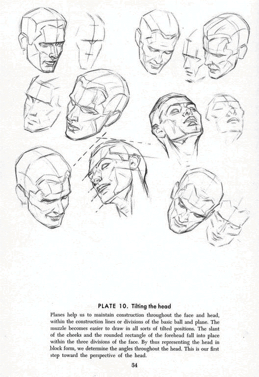 Drawing the head and hands - Andrew Loomis ></a>
<script language=JavaScript> 
  var txt = 