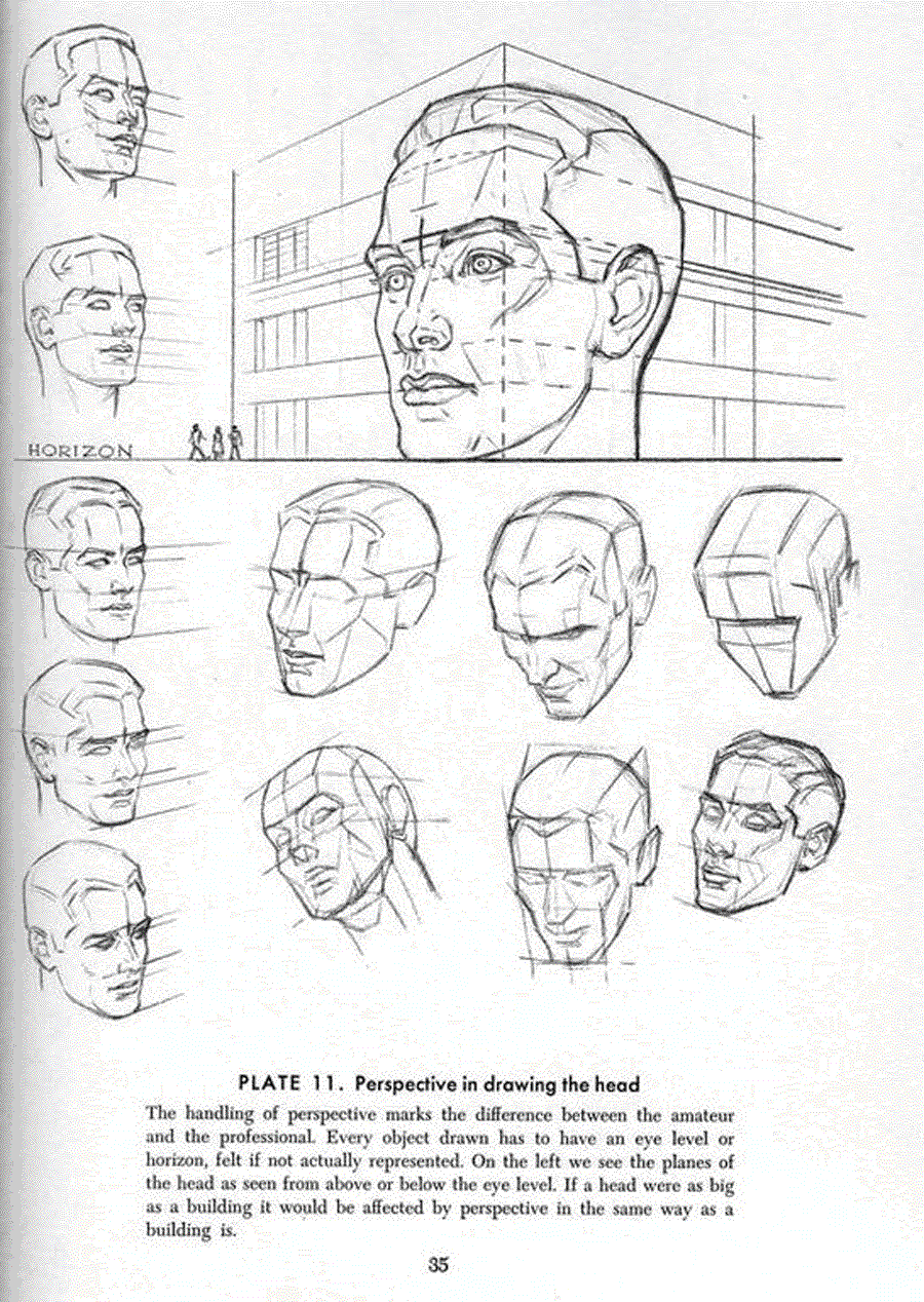 Drawing the head and hands - Andrew Loomis ></a>
<script language=JavaScript> 
  var txt = 