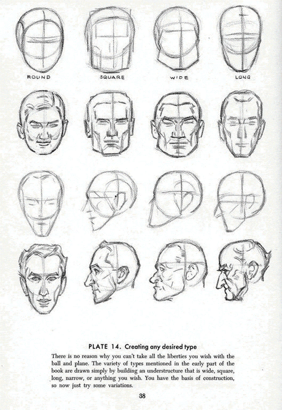 Drawing the head and hands - Andrew Loomis ></a>
<script language=JavaScript> 
  var txt = 