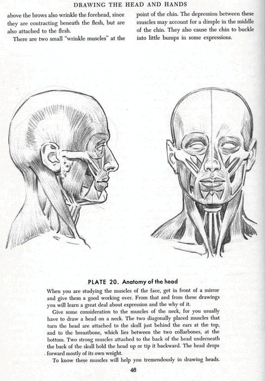 Drawing the head and hands - Andrew Loomis ></a>
<script language=JavaScript> 
  var txt = 