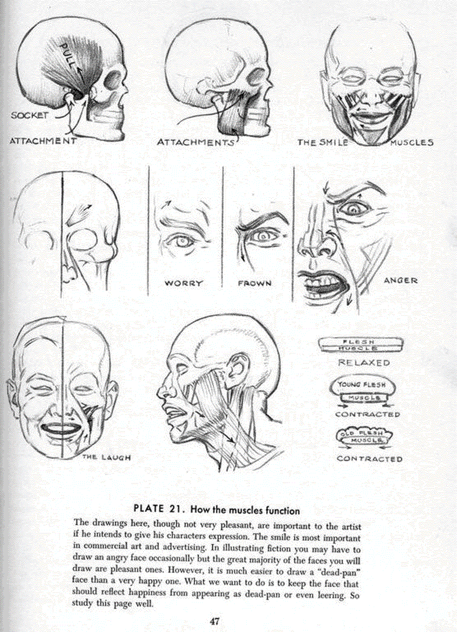 Drawing the head and hands - Andrew Loomis ></a>
<script language=JavaScript> 
  var txt = 