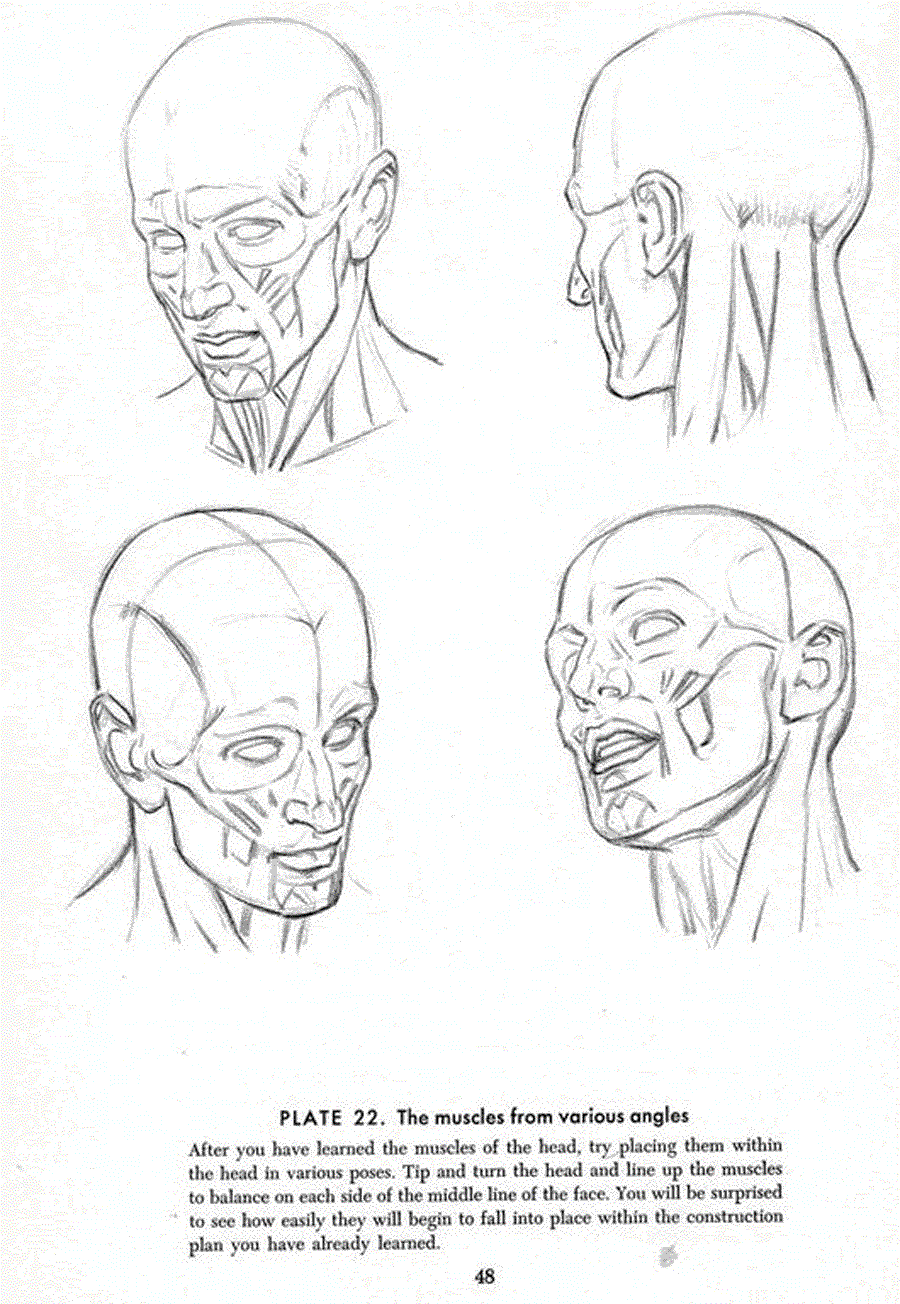 Drawing the head and hands - Andrew Loomis ></a>
<script language=JavaScript> 
  var txt = 