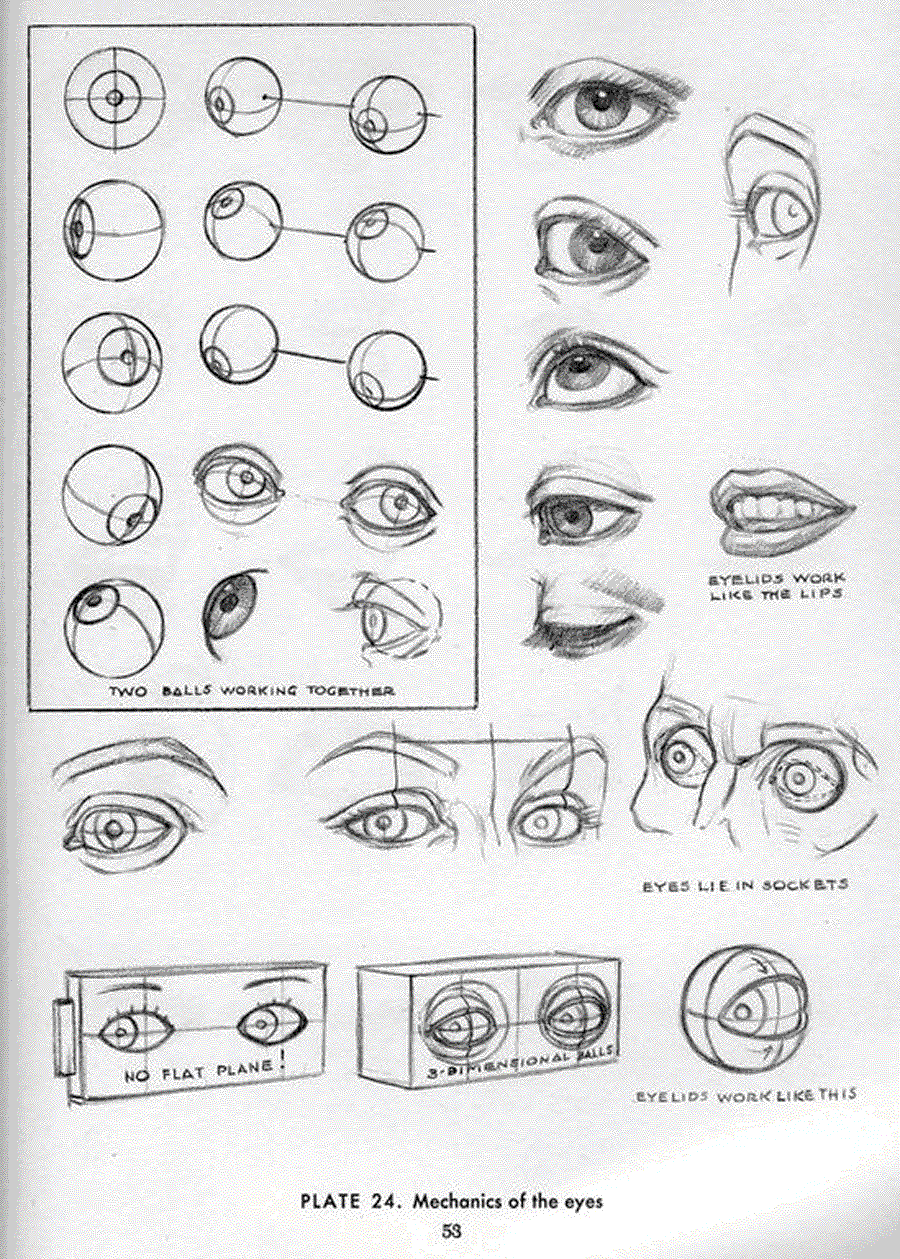 Drawing the head and hands - Andrew Loomis ></a>
<script language=JavaScript> 
  var txt = 