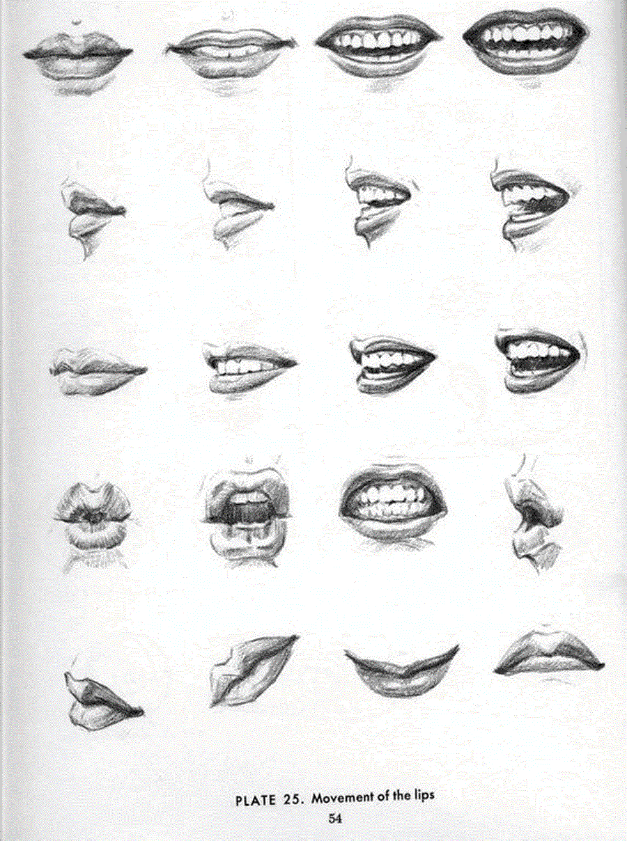 Drawing the head and hands - Andrew Loomis ></a>
<script language=JavaScript> 
  var txt = 