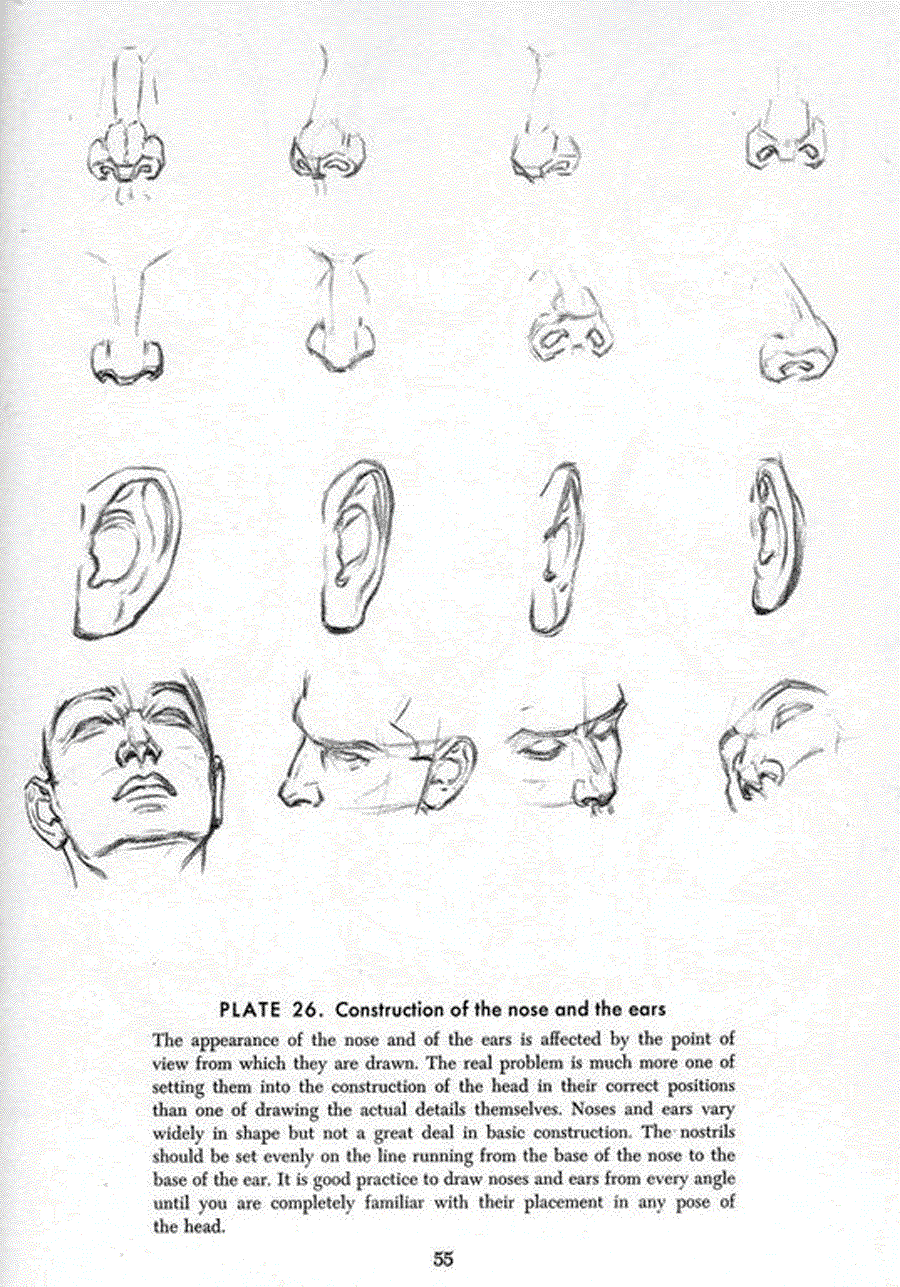 Drawing the head and hands - Andrew Loomis ></a>
<script language=JavaScript> 
  var txt = 