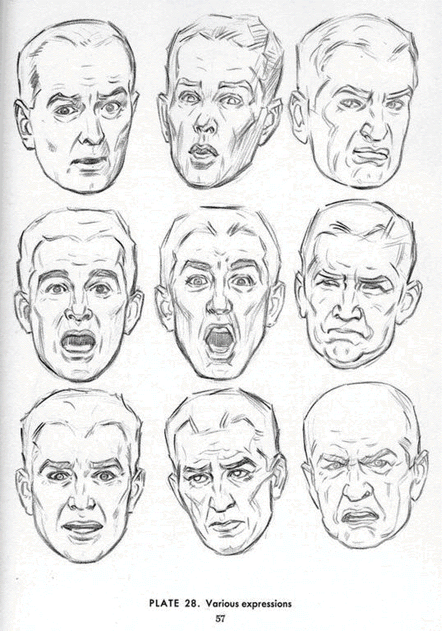 Drawing the head and hands - Andrew Loomis ></a>
<script language=JavaScript> 
  var txt = 