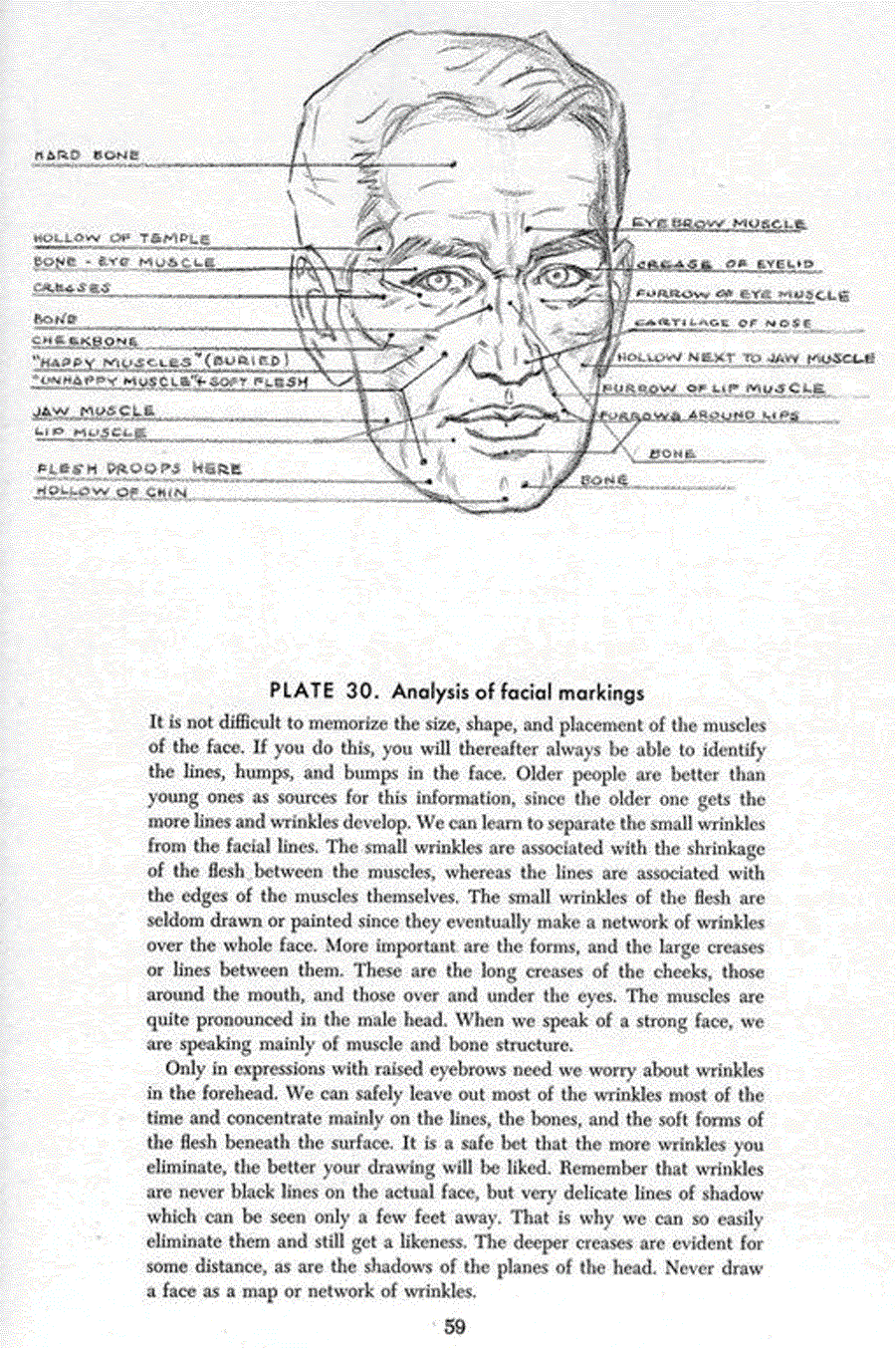 Drawing the head and hands - Andrew Loomis ></a>
<script language=JavaScript> 
  var txt = 