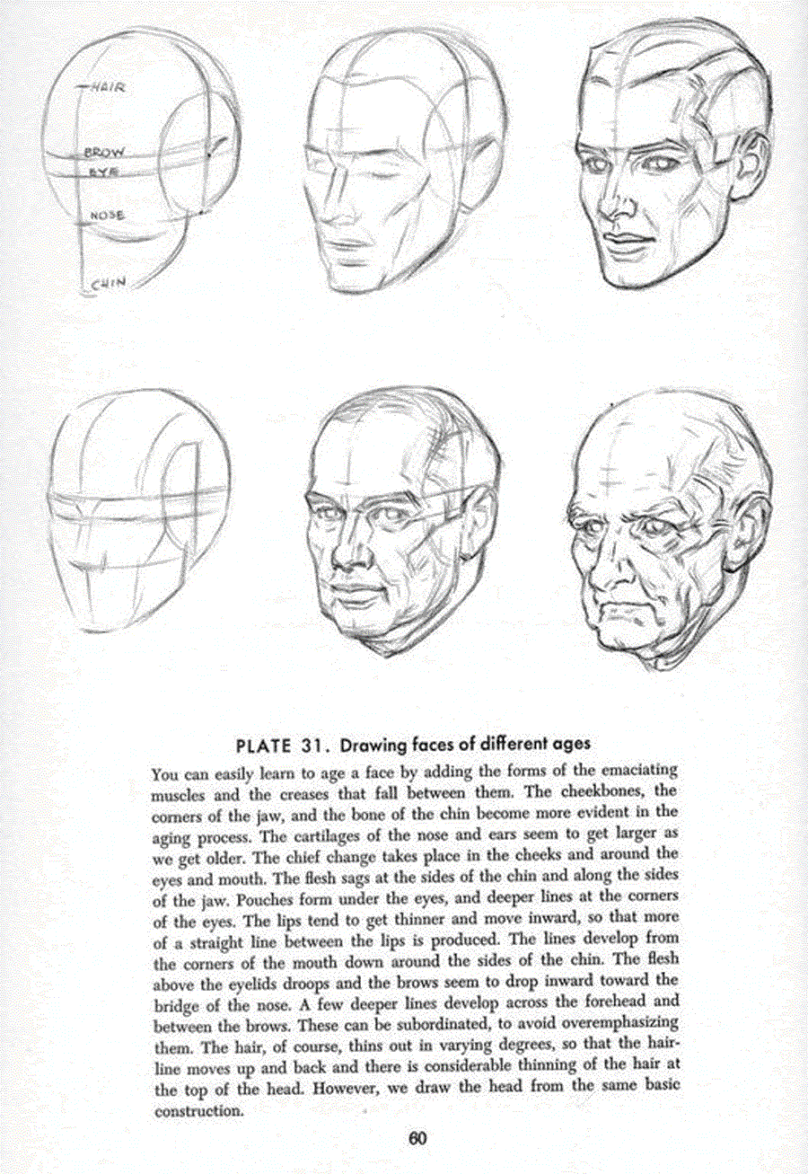 Drawing the head and hands - Andrew Loomis ></a>
<script language=JavaScript> 
  var txt = 