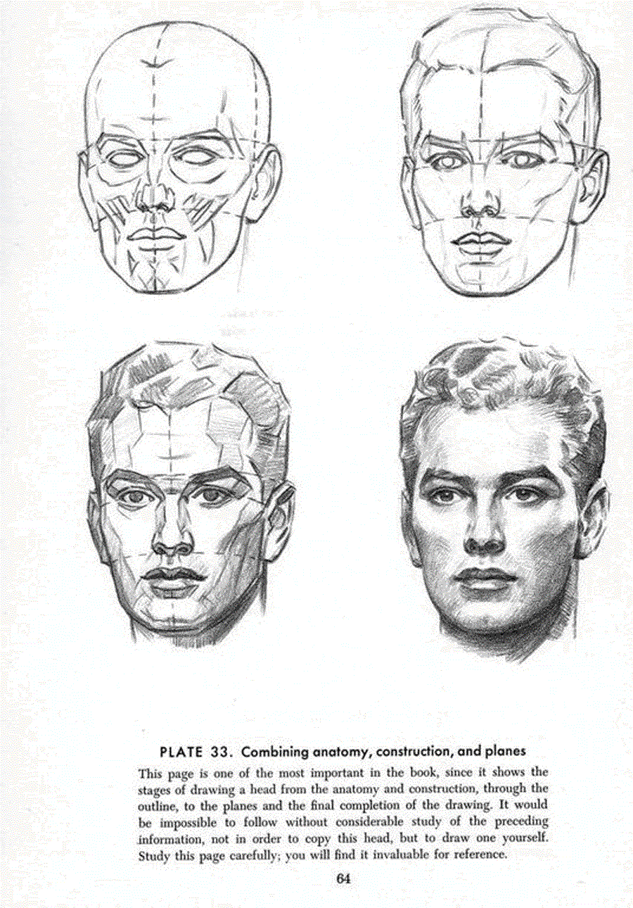 Drawing the head and hands - Andrew Loomis ></a>
<script language=JavaScript> 
  var txt = 
