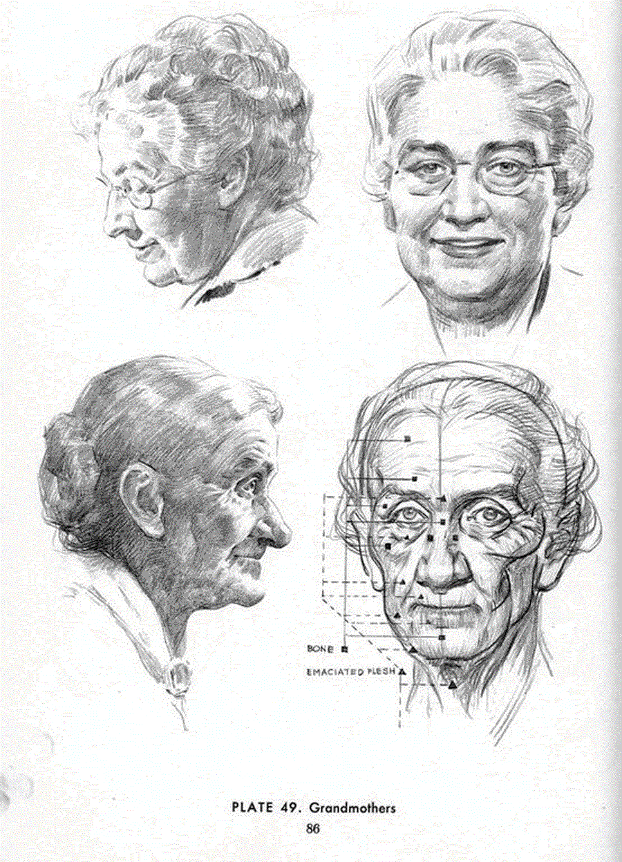 Drawing the head and hands - Andrew Loomis ></a>
<script language=JavaScript> 
  var txt = 