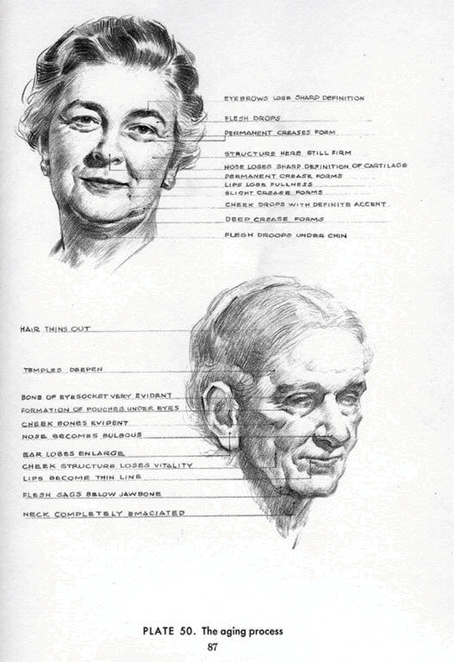 Drawing the head and hands - Andrew Loomis ></a>
<script language=JavaScript> 
  var txt = 