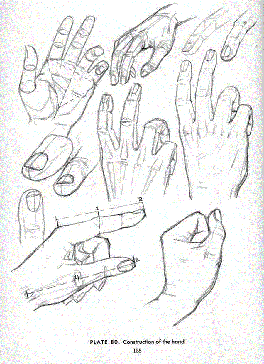 Drawing the head and hands - Andrew Loomis ></a>
<script language=JavaScript> 
  var txt = 