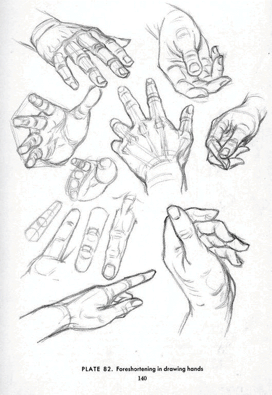 Drawing the head and hands - Andrew Loomis ></a>
<script language=JavaScript> 
  var txt = 