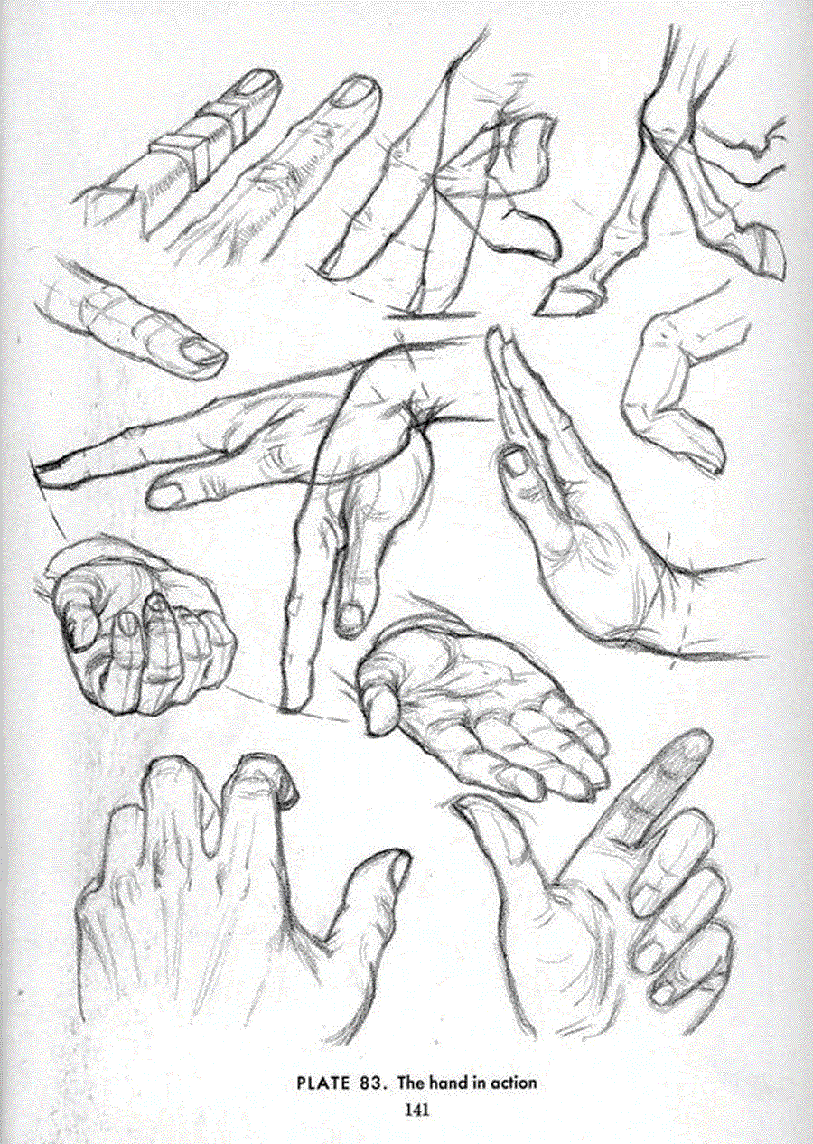 Drawing the head and hands - Andrew Loomis ></a>
<script language=JavaScript> 
  var txt = 