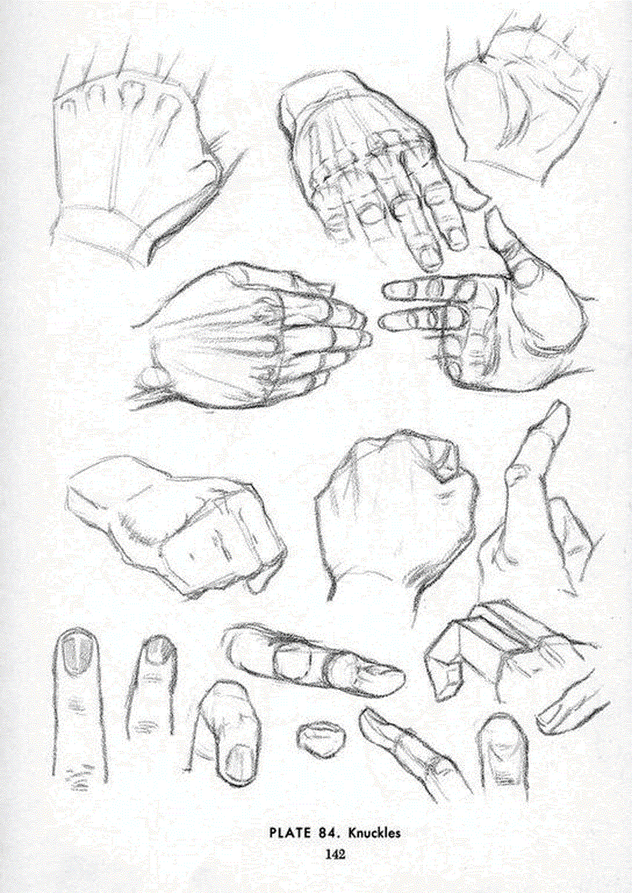 Drawing the head and hands - Andrew Loomis ></a>
<script language=JavaScript> 
  var txt = 