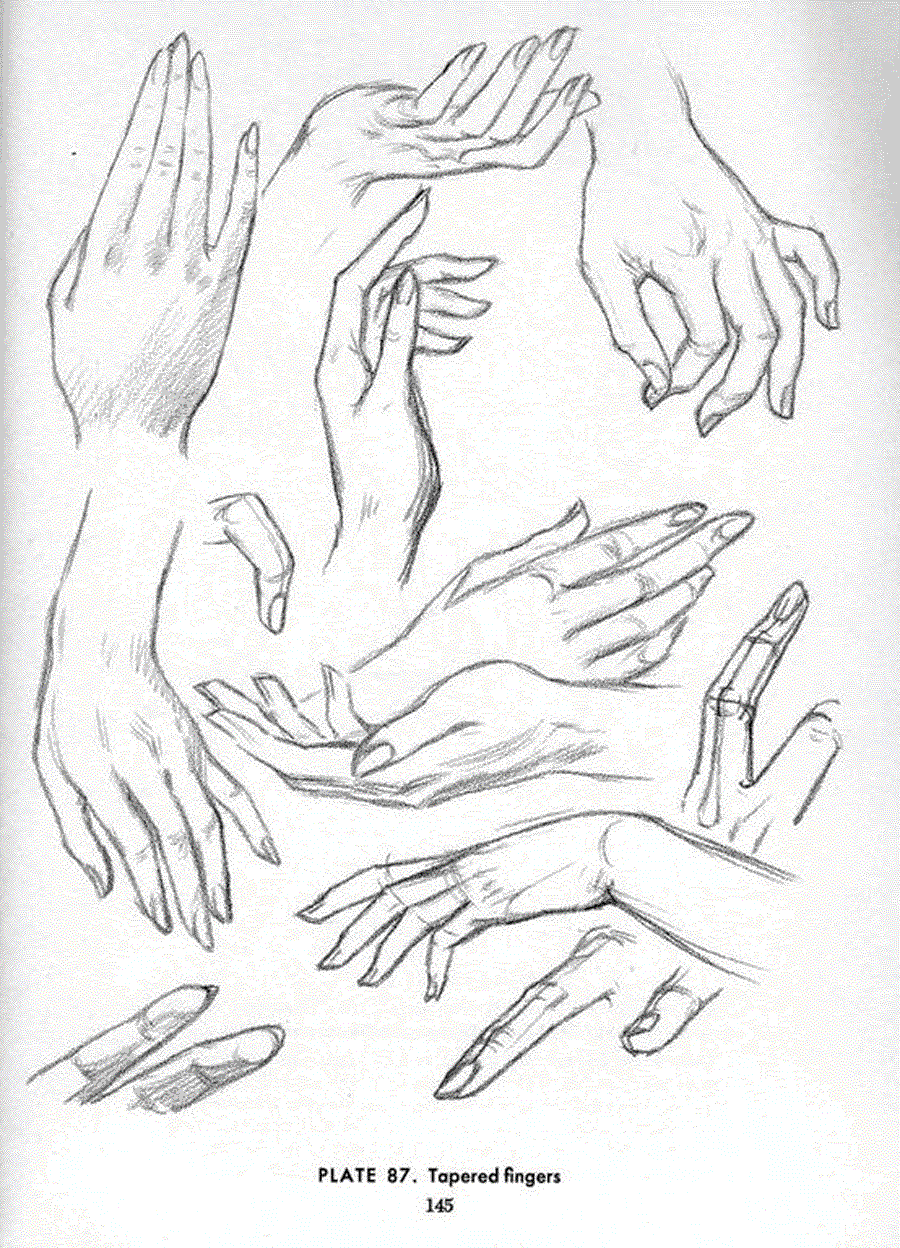 Drawing the head and hands - Andrew Loomis ></a>
<script language=JavaScript> 
  var txt = 