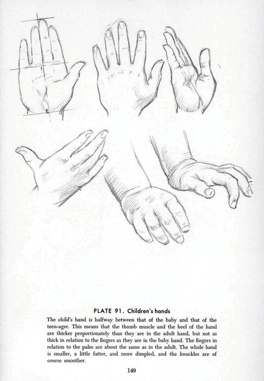 Drawing the head and hands - Andrew Loomis ></a>
<script language=JavaScript> 
  var txt = 