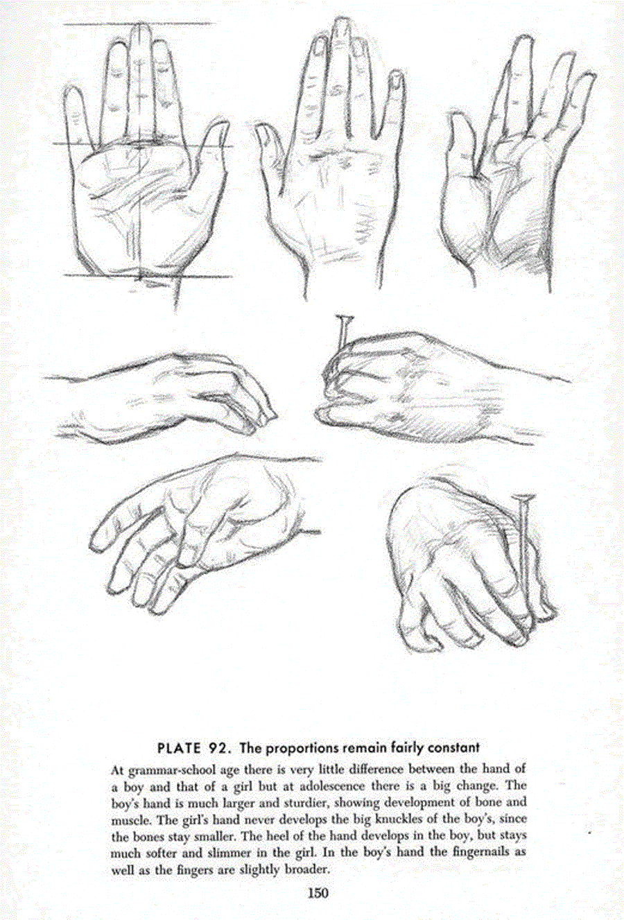 Drawing the head and hands - Andrew Loomis ></a>
<script language=JavaScript> 
  var txt = 