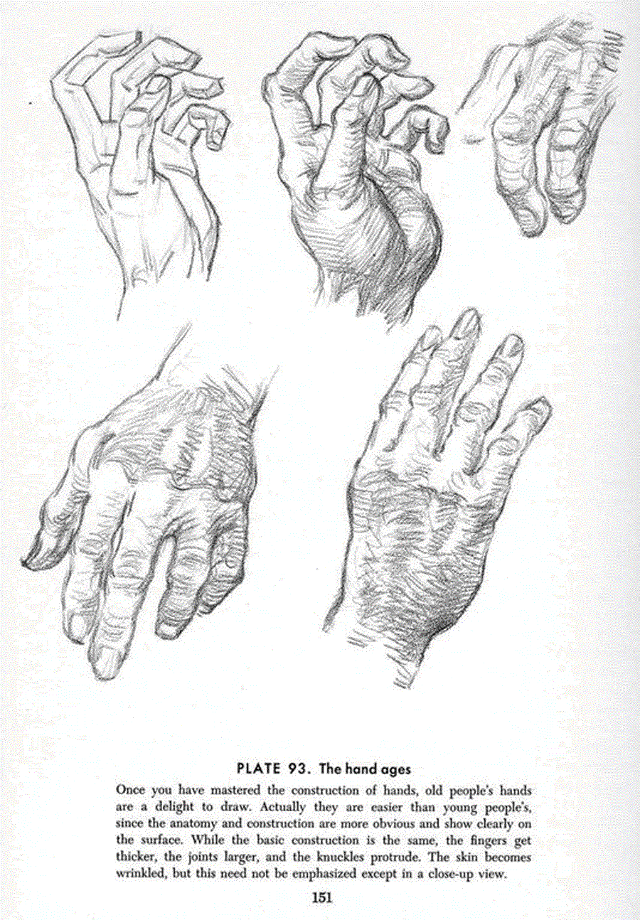 Drawing the head and hands - Andrew Loomis ></a>
<script language=JavaScript> 
  var txt = 