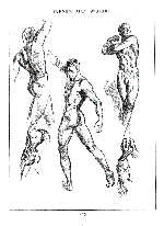 Andrew Loomis: Figure drawing for all it s worth 