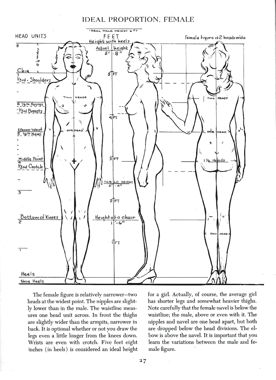 Figure drawing for all it s worth - Andrew Loomis ></a>
<script language=JavaScript> 
  var txt = 