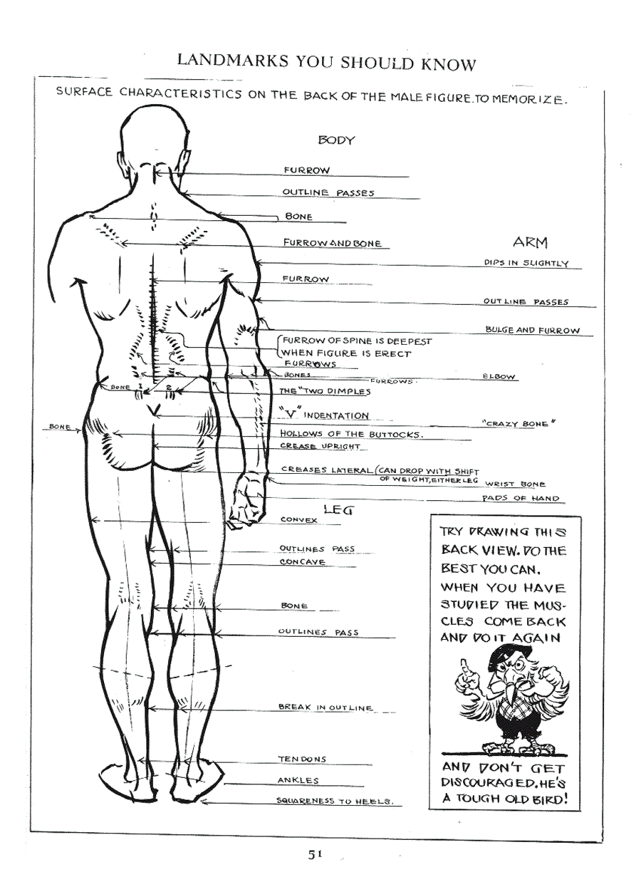 Figure drawing for all it s worth - Andrew Loomis ></a>
<script language=JavaScript> 
  var txt = 