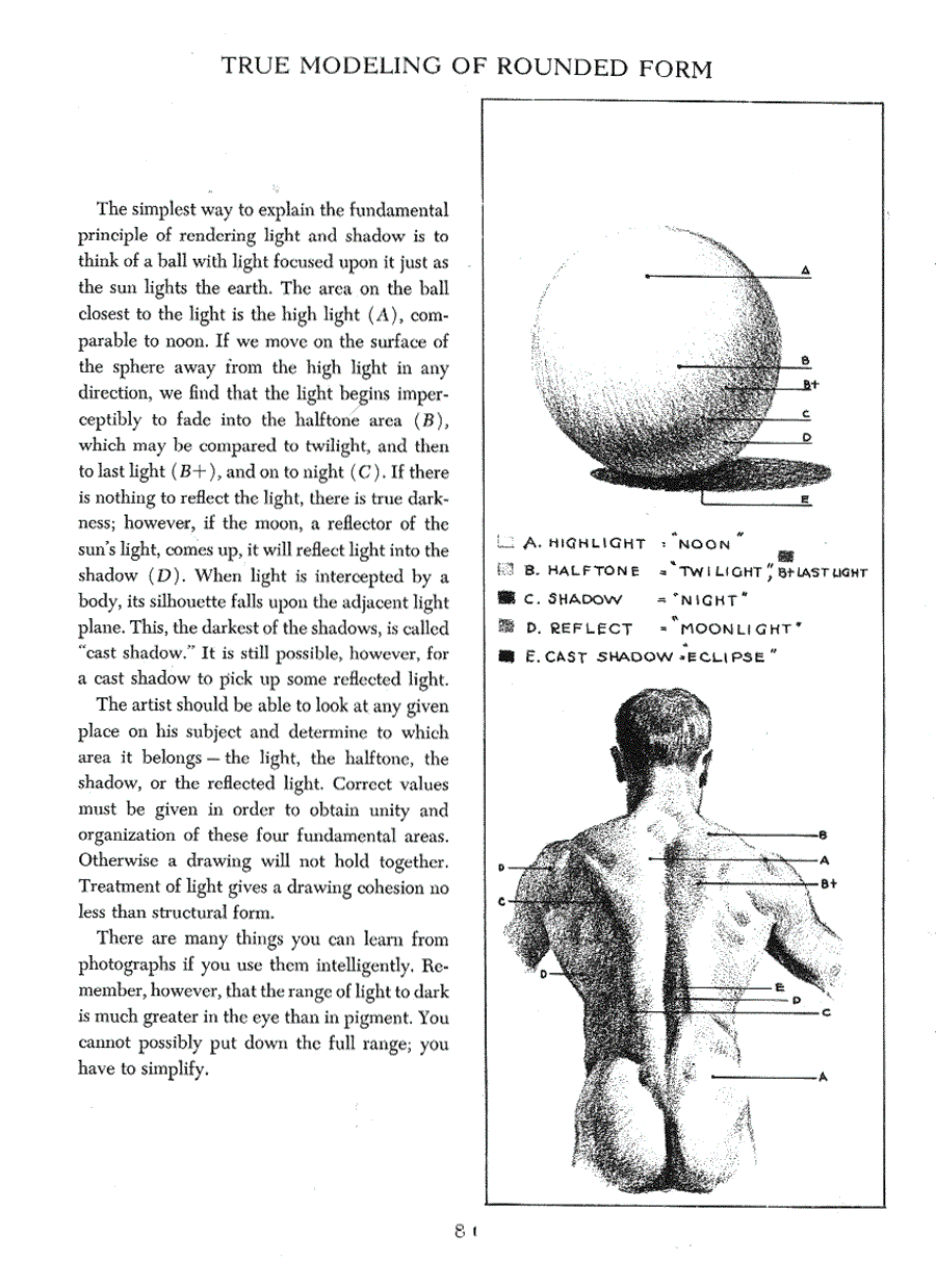 Figure drawing for all it s worth - Andrew Loomis ></a>
<script language=JavaScript> 
  var txt = 