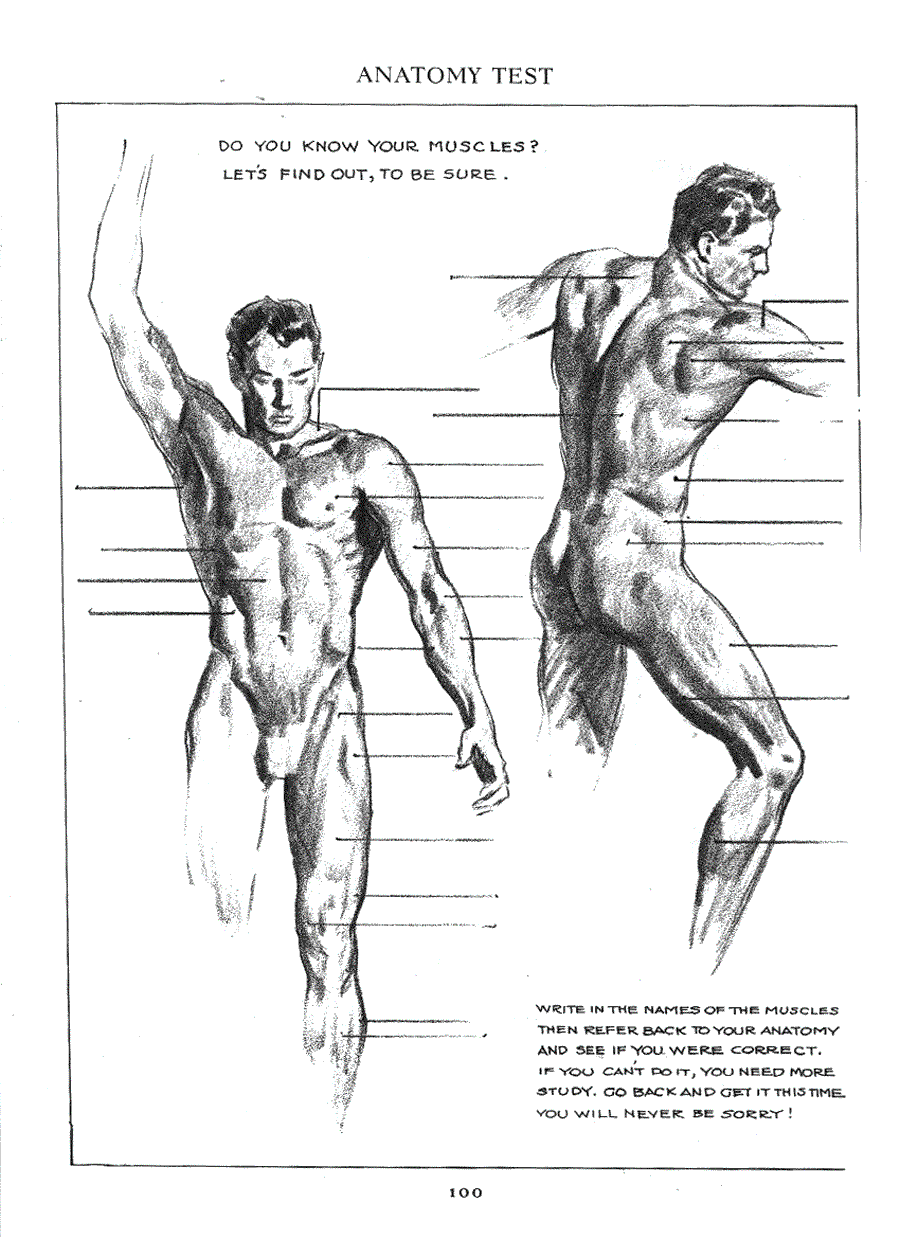 Figure drawing for all it s worth - Andrew Loomis ></a>
<script language=JavaScript> 
  var txt = 