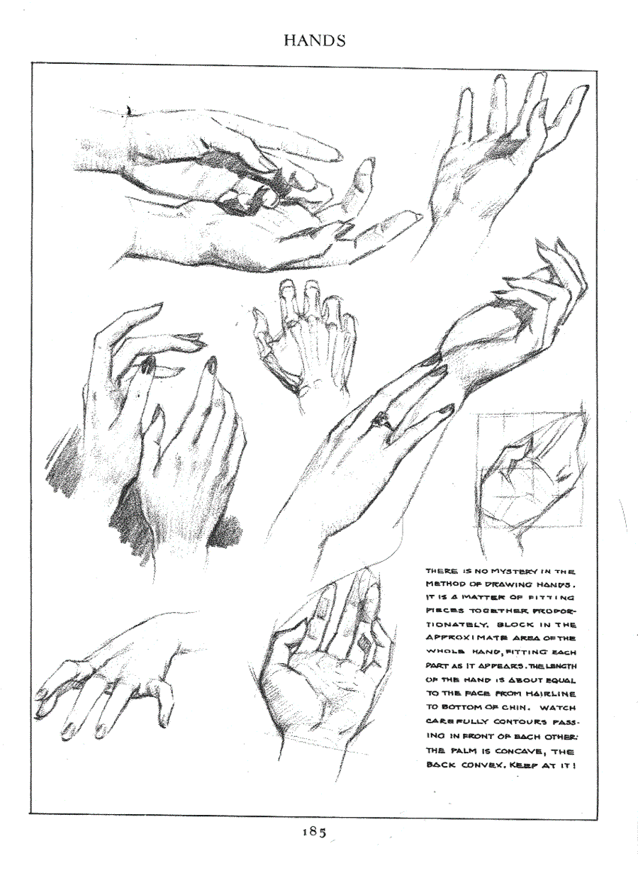 Figure drawing for all it s worth - Andrew Loomis ></a>
<script language=JavaScript> 
  var txt = 