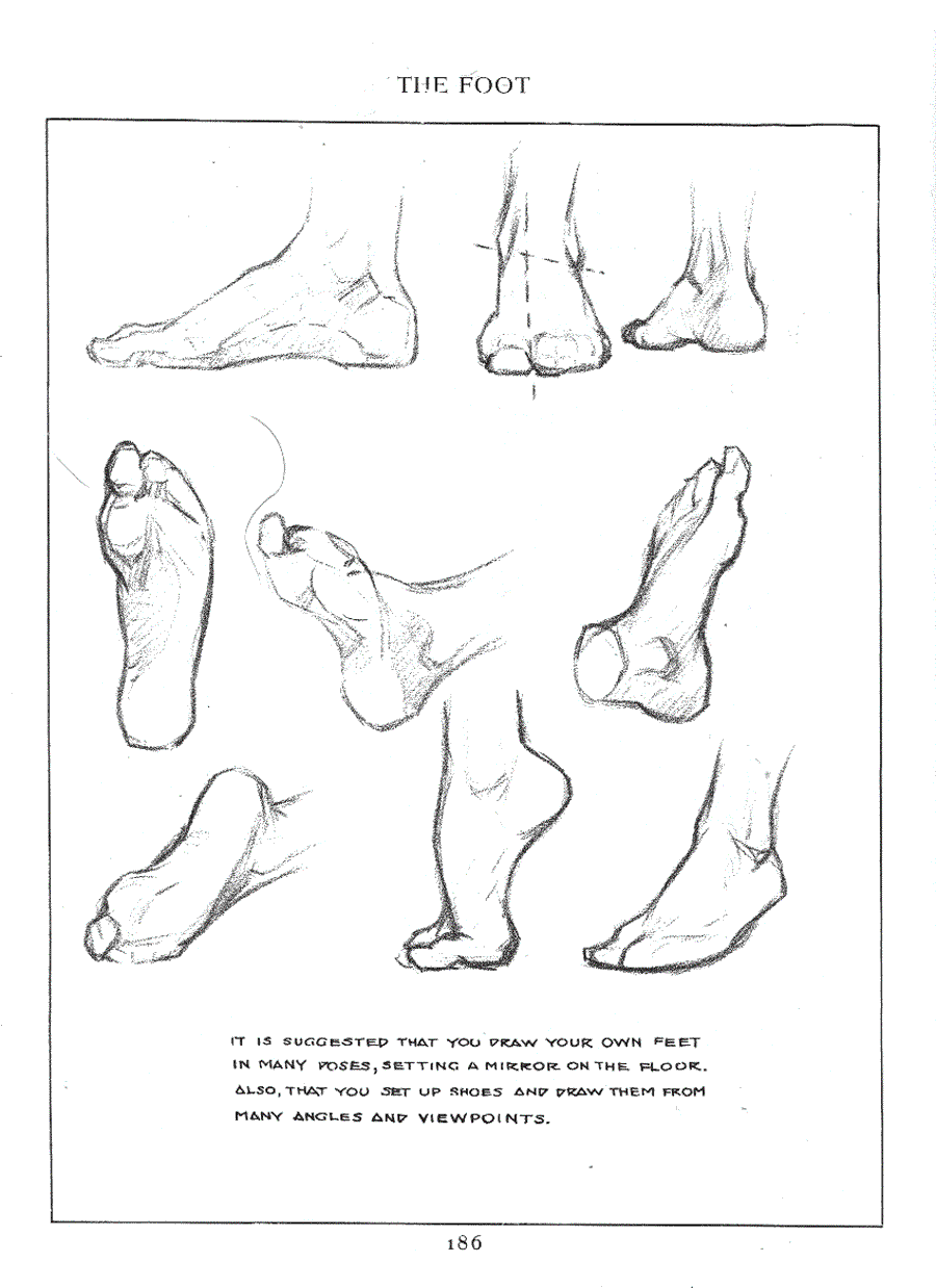 Figure drawing for all it s worth - Andrew Loomis ></a>
<script language=JavaScript> 
  var txt = 