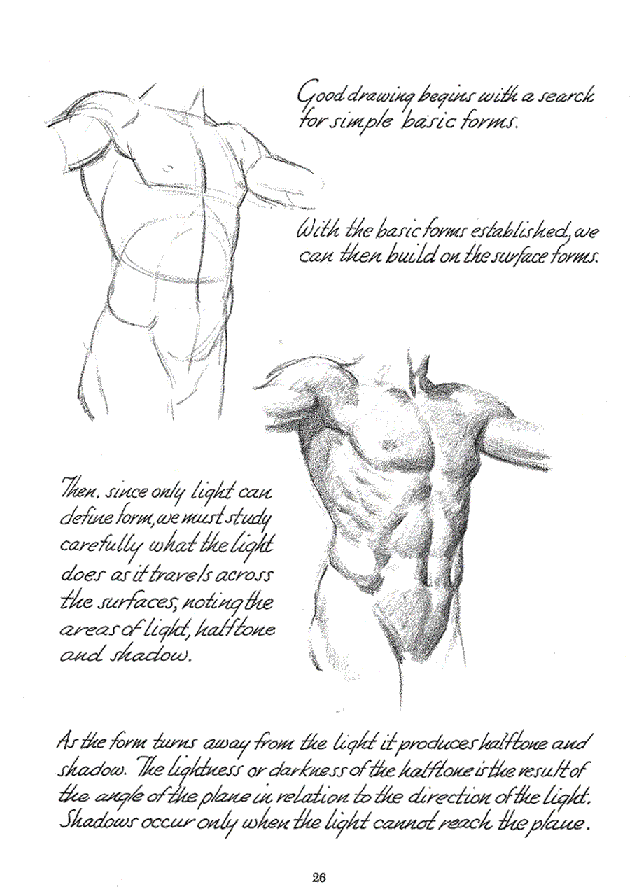 Successful drawing - Andrew Loomis ></a>
<script language=JavaScript> 
  var txt = 