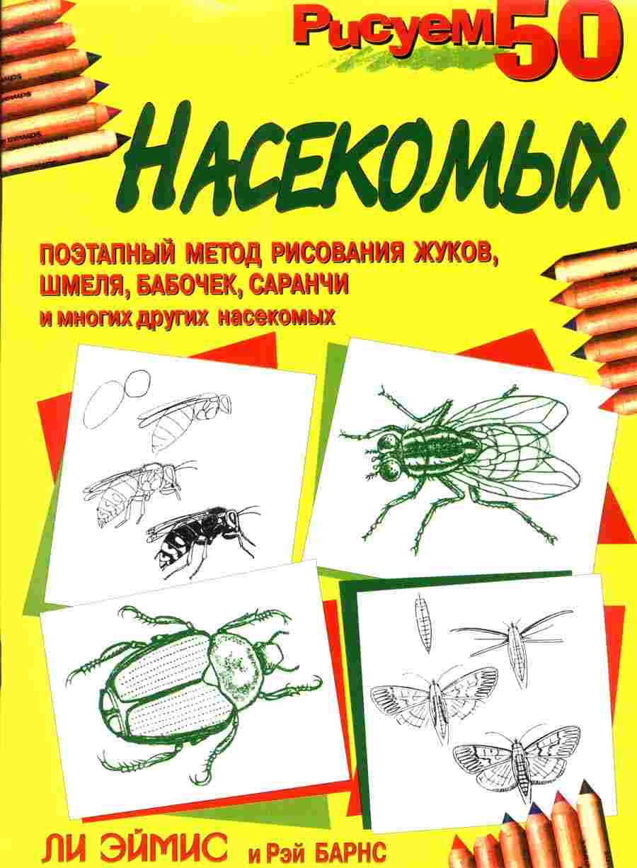  50  -  .     ></a>
<script language=JavaScript> 
  var txt = 
