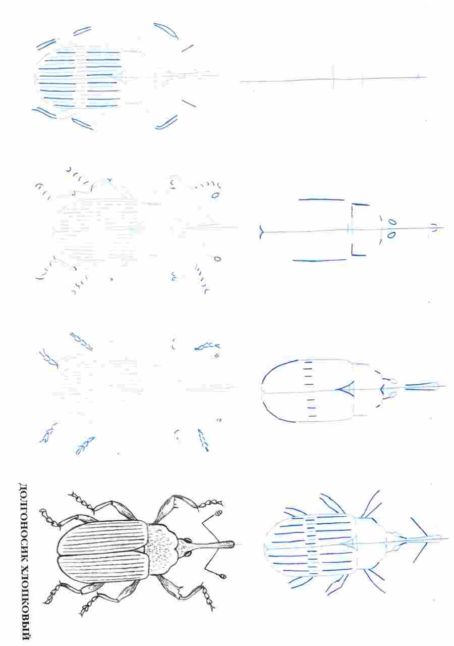  50  -  .     ></a>
<script language=JavaScript> 
  var txt = 