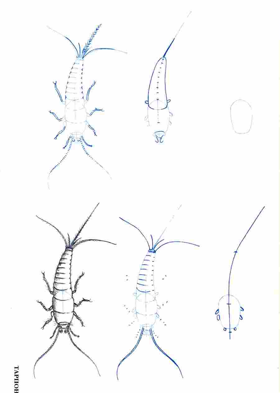 ������ 50 ��������� - �� ��. ����� � ��� ����� ></a>
<script language=JavaScript> 
  var txt = 