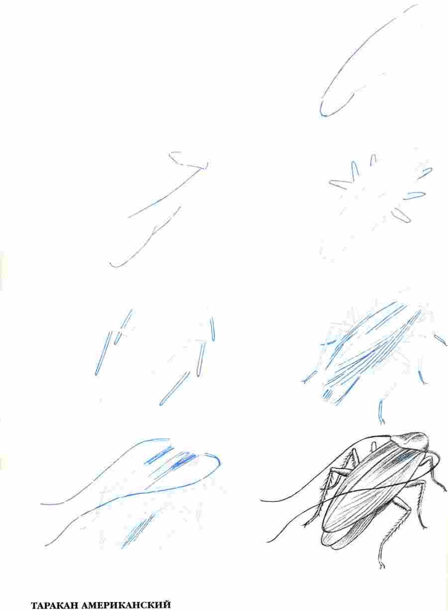 ������ 50 ��������� - �� ��. ����� � ��� ����� ></a>
<script language=JavaScript> 
  var txt = 