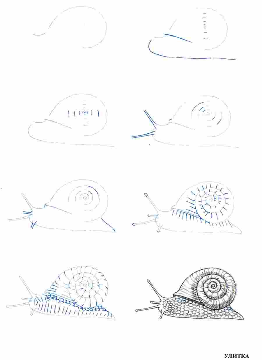 ������ 50 ��������� - �� ��. ����� � ��� ����� ></a>
<script language=JavaScript> 
  var txt = 