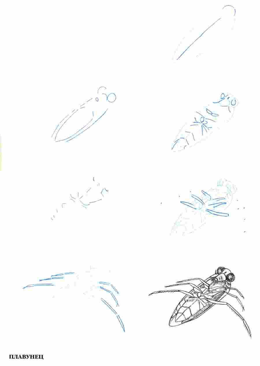 ������ 50 ��������� - �� ��. ����� � ��� ����� ></a>
<script language=JavaScript> 
  var txt = 