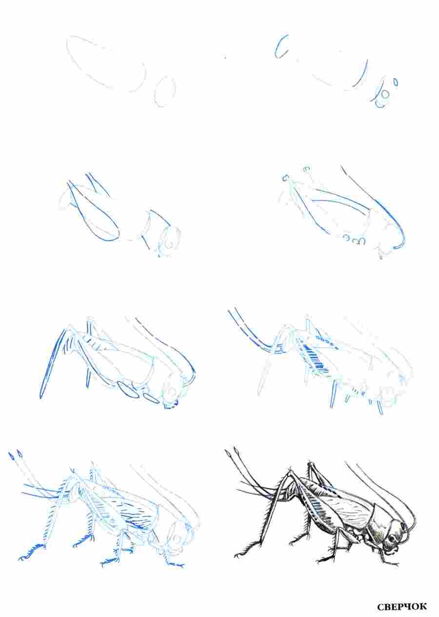  50  -  .     ></a>
<script language=JavaScript> 
  var txt = 