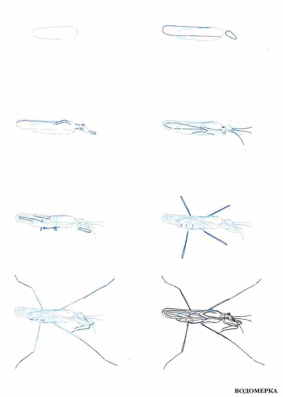 ������ 50 ��������� - �� ��. ����� � ��� ����� ></a>
<script language=JavaScript> 
  var txt = 