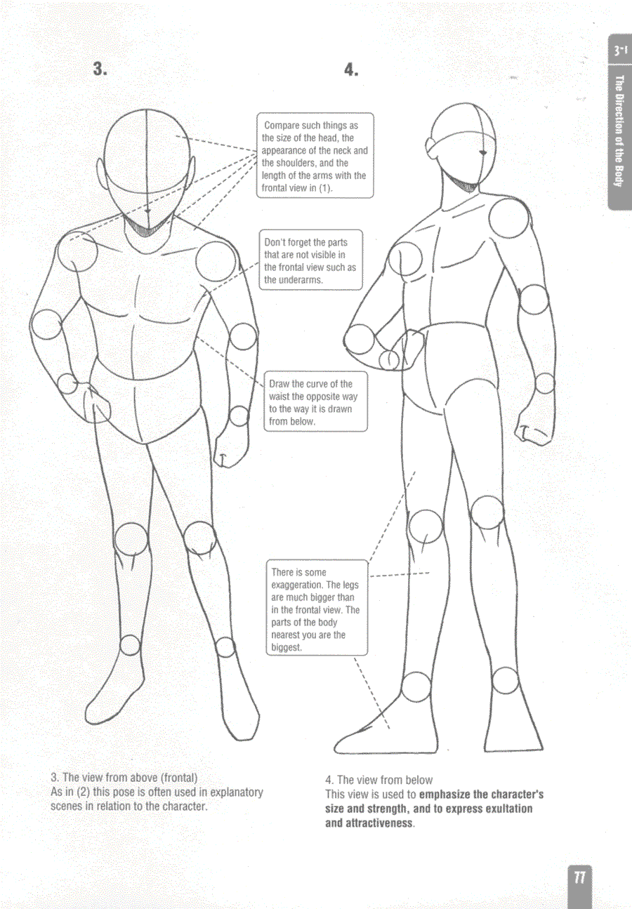 Now to draw Anime and Game Character - Tadashi Ozawa ></a>
<script language=JavaScript> 
  var txt = 