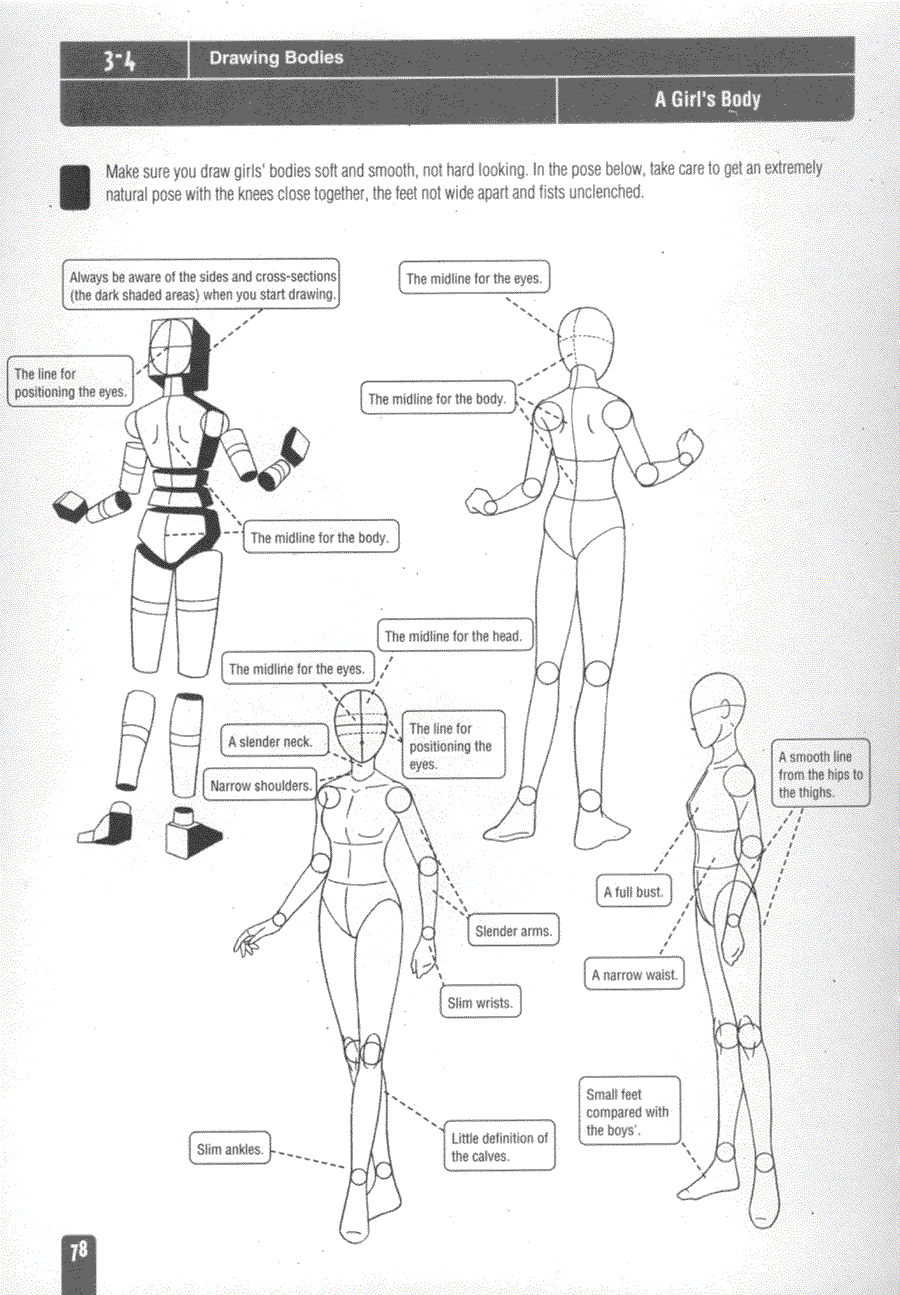 Now to draw Anime and Game Character - Tadashi Ozawa ></a>
<script language=JavaScript> 
  var txt = 