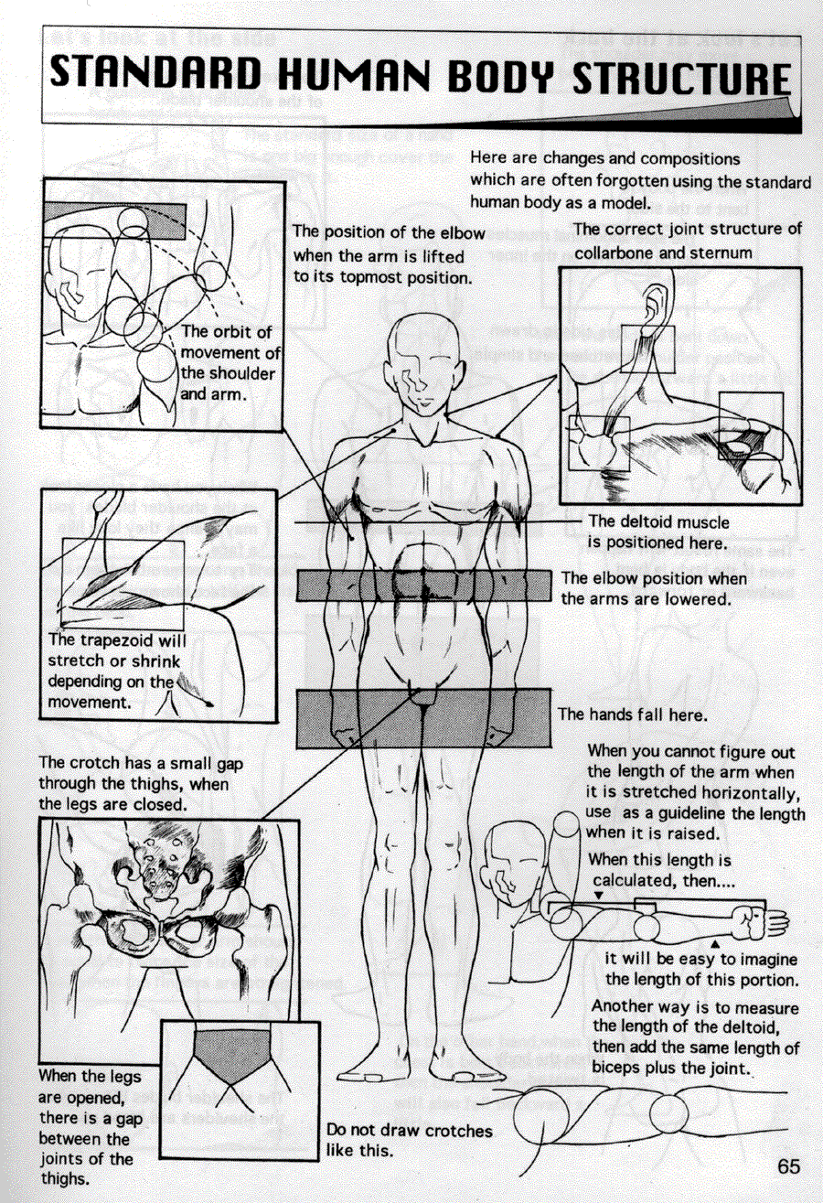 Now to draw Manga: Compiling Characters - Now to draw Manga ></a>
<script language=JavaScript> 
  var txt = 