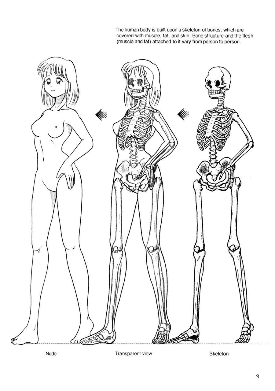 Now to draw Manga: Techniques for drawing female manga Characters - Now to draw Manga ></a>
<script language=JavaScript> 
  var txt = 