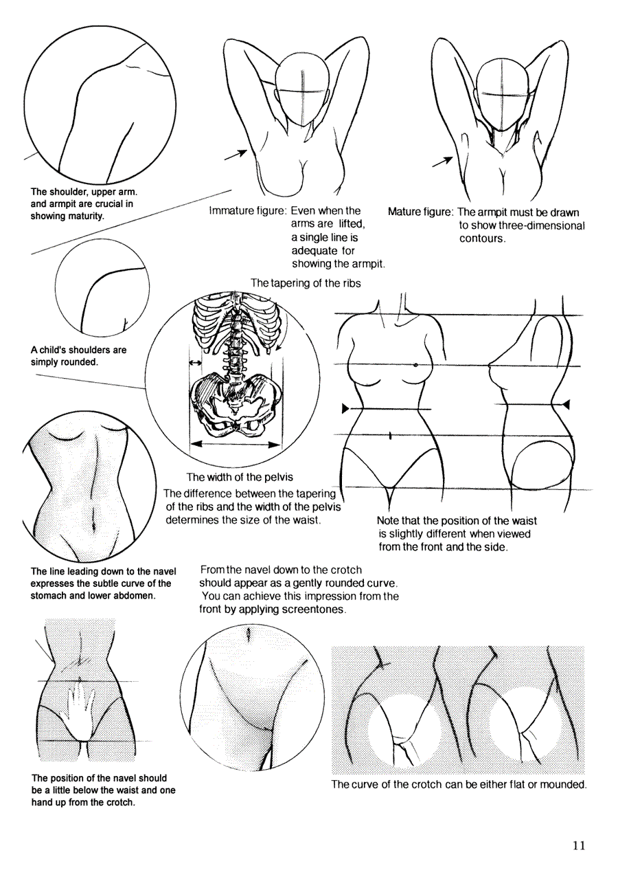 Now to draw Manga: Techniques for drawing female manga Characters - Now to draw Manga ></a>
<script language=JavaScript> 
  var txt = 
