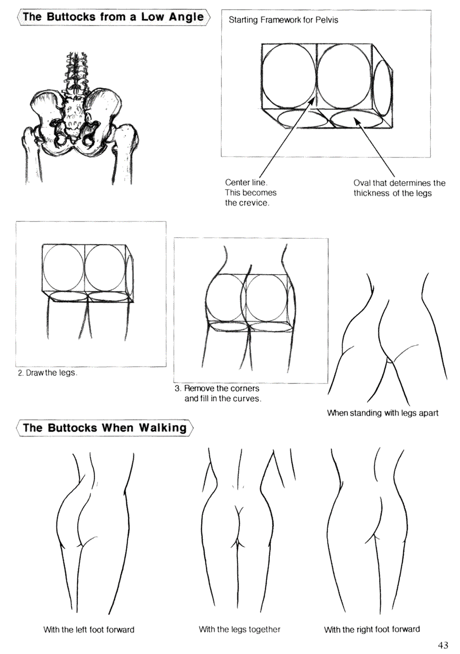 Now to draw Manga: Techniques for drawing female manga Characters - Now to draw Manga ></a>
<script language=JavaScript> 
  var txt = 