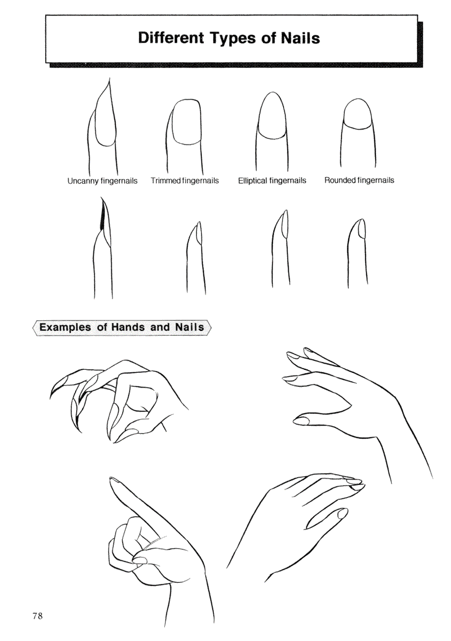 Now to draw Manga: Techniques for drawing female manga Characters - Now to draw Manga ></a>
<script language=JavaScript> 
  var txt = 