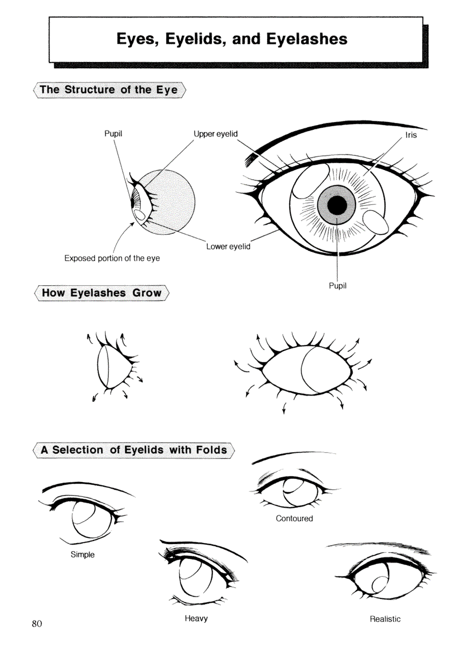Now to draw Manga: Techniques for drawing female manga Characters - Now to draw Manga ></a>
<script language=JavaScript> 
  var txt = 