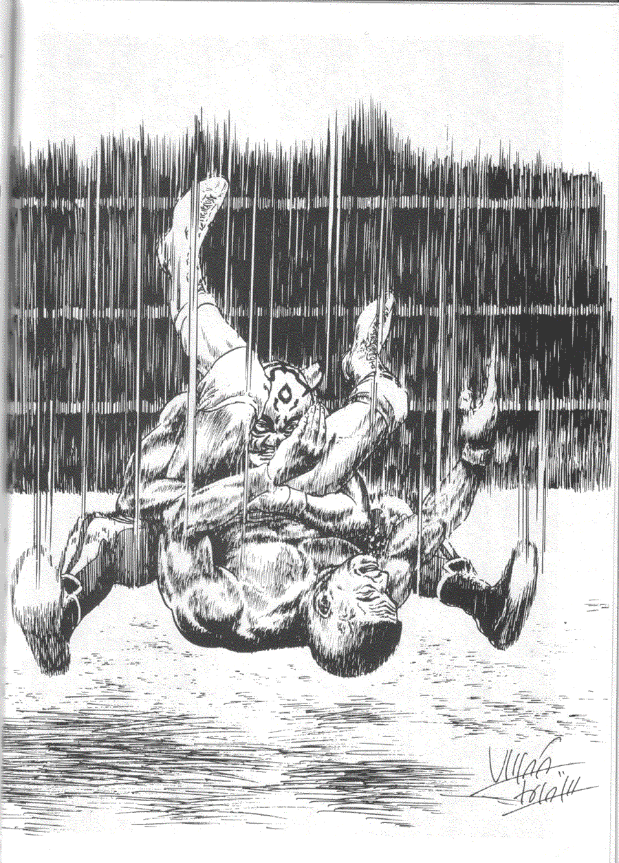 Now to draw Manga: Illustrating Battles - Hikaru Hayashi ></a>
<script language=JavaScript> 
  var txt = 