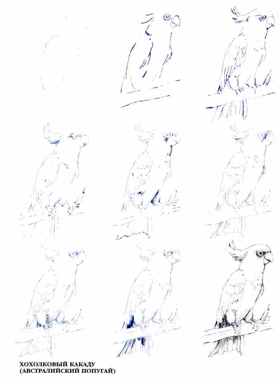  50  -       ></a>
<script language=JavaScript> 
  var txt = 
