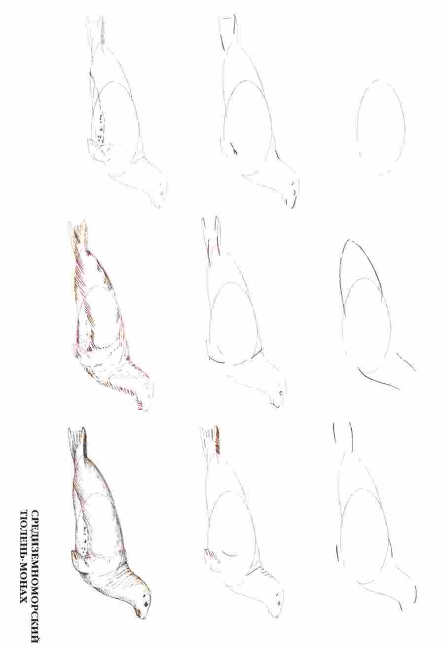 ������ 50 ���������� �������� - �� ��.����� � ������ ��� ></a>
<script language=JavaScript> 
  var txt = 